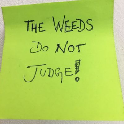 Birke Hesse - the Weeds do not Judge